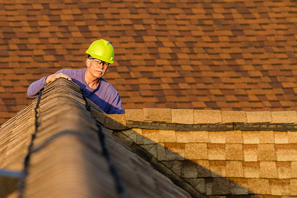 Best Roof Maintenance Services  in Pineland, TX