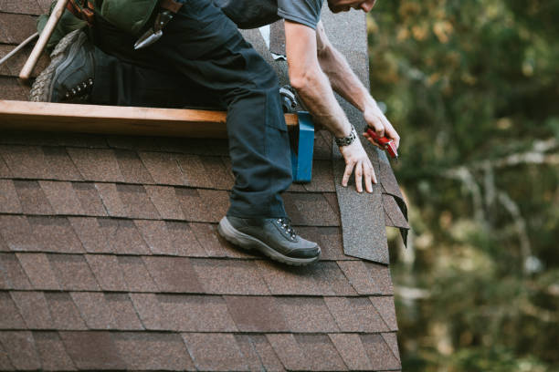 Best Commercial Roofing Services  in Pineland, TX